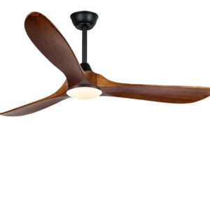 EXQUIO Ventilador de Techo DC Silencioso 132 cm Negro/Madera
